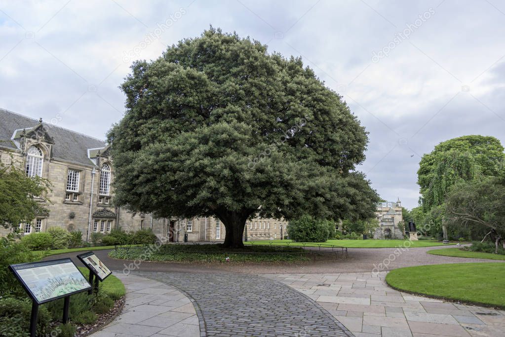 Campus of the St Mary's College, St Andrews, Fife, Scotland
