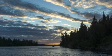 Lakeside, Lake of The Woods, Ontario, Kanada, ağaç görünümü