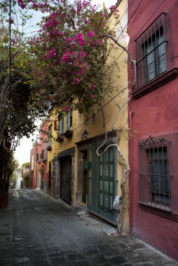 Bir street, San Miguel de Allende, Guanajuato, Meksika boyunca evleri