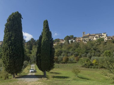 Toprak yolda kapısı açık beyaz bir araba.