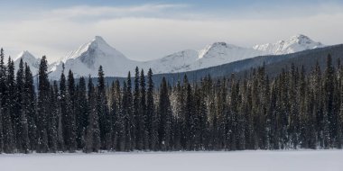 Kar kaplı ağaçlar ve dağ kış aylarında, Emerald Gölü, alan, British Columbia, Kanada