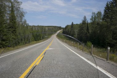 arka planda yeşil ağaçlar ile yol
