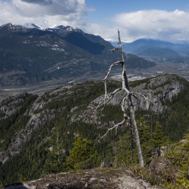 Dağlar, M.ö. sahil, kıyı Dağları, Squamish, British Columbia, Kanada ile vadinin görünümü