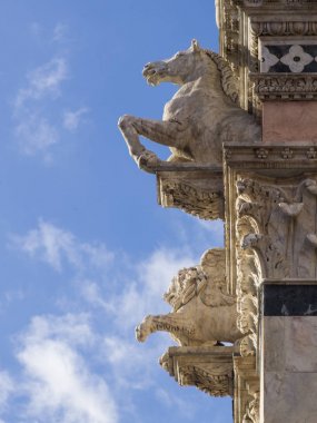 Gargoyles cephesinde Siena katedralinin, Siena, Toskana, İtalya