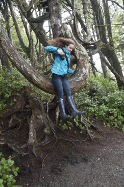 Kız ağaç, yabani Pasifik iz, Ucluelet, Pasifik Kıyısı Milli Parkı rezerv, Vancouver Adası, British Columbia, Kanada atlama