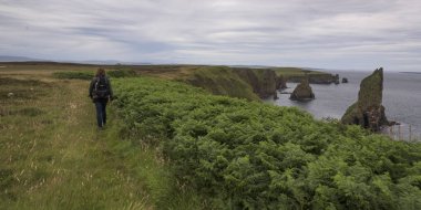 Woman walking along coastline, Duncansby Head, Caithness, Scottish Highlands, Scotland clipart