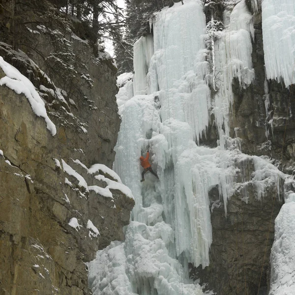 Ice Climber Bevroren Waterval Johnston Canyon Nationaal Park Banff Alberta — Stockfoto