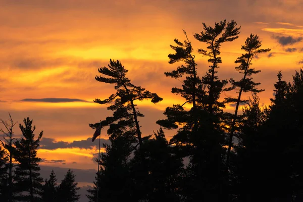 Όμορφο Ηλιοβασίλεμα Ουρανό Πάνω Από Δάσος — Φωτογραφία Αρχείου