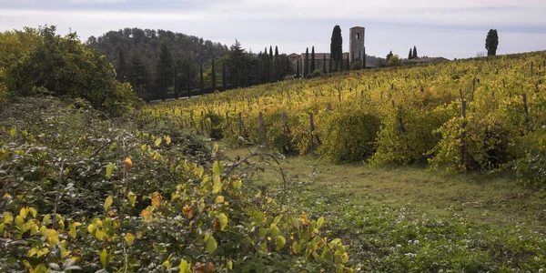 Γραφική Θέα Του Αμπελώνα Chianti Τοσκάνη Ιταλία — Φωτογραφία Αρχείου