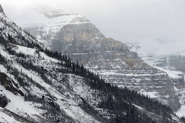 Neve Árvores Cobertas Montanha Lago Louise Banff National Park Alberta — Fotografia de Stock