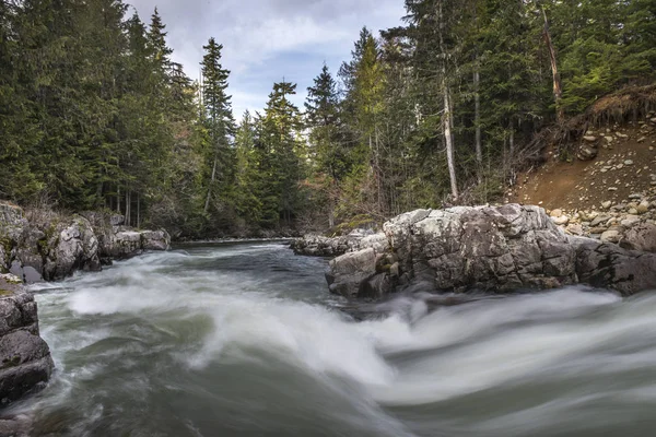 Rivier Die Stroomt Een Forest Whistler British Columbia Canada — Stockfoto