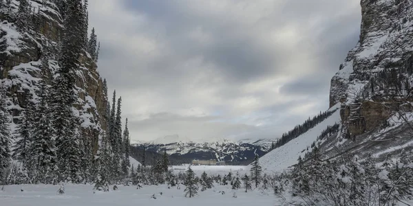 Сніг Накривав Дерев Озеро Луїзи Banff Національний Парк Альберта Канада — стокове фото