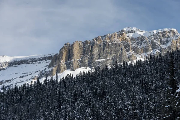 Χιόνι Κάλυψε Δέντρα Βουνό Χειμώνα Λίμνη Emerald Πεδίο Βρετανική Κολομβία — Φωτογραφία Αρχείου