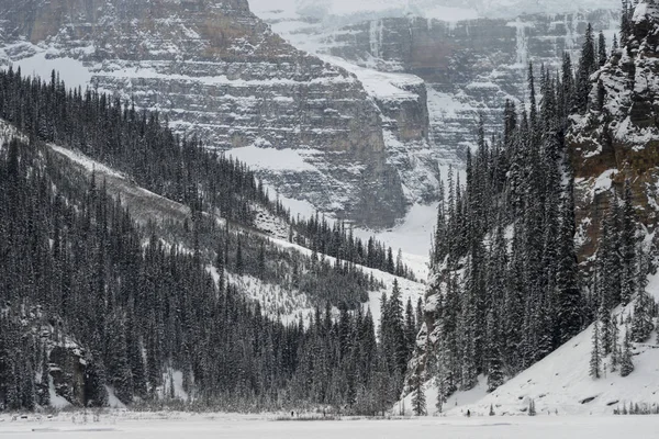 Árboles Cubiertos Nieve Con Montaña Lago Louise Parque Nacional Banff — Foto de Stock