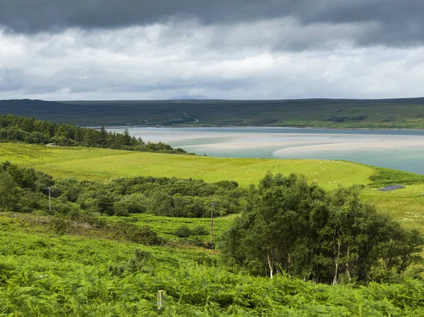 Piękny Widok Wypasu Owiec Krajobraz Wybrzeża Przed Zachmurzonym Niebie Szkockich — Zdjęcie stockowe