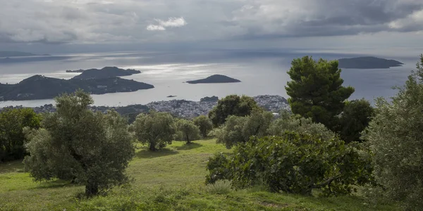 High Angle View Trees Town Coast Skiathos Sporades Greece — Stock Photo, Image
