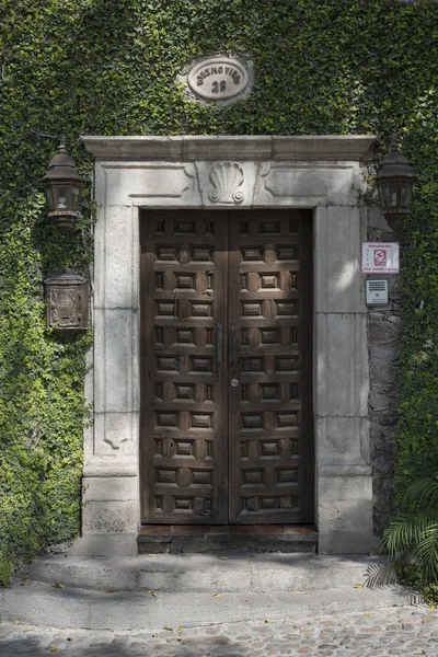 Doorway of a house framed in vines, Zona Centro, San Miguel de Allende, Guanajuato, Mexico