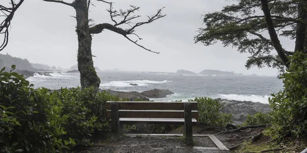 Bank Der Küste Pazifischer Rand Nationalpark Reserve Ucluelet Vancouver Island — Stockfoto