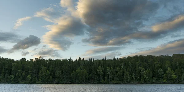 Pohled Stromy Břehu Jezera Jezera Lesa Ontario Kanada — Stock fotografie