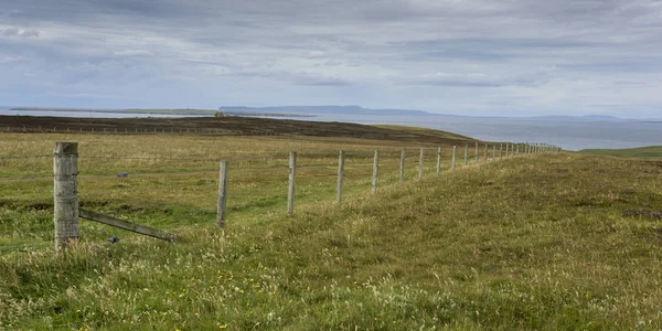 Fence Landscape Coast John Groats Caithness Scottish Highlands Scotland — стоковое фото