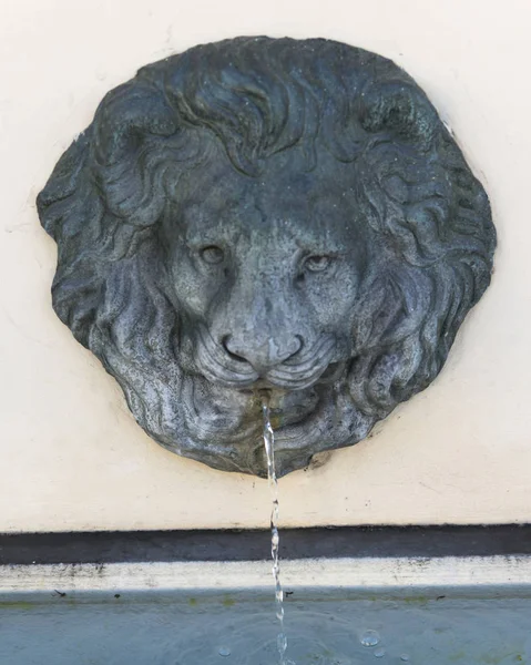 Talla Fuente Cabeza León Pared Campania Italia — Foto de Stock