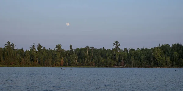 Malerischer Blick Auf Den See Bei Sonnenuntergang See Der Wälder — Stockfoto