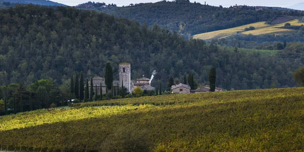 Scenic View Vineyards Tuscany Italy — Stock Photo, Image