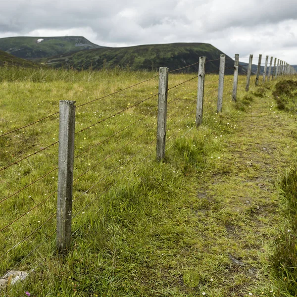 Drátěný Plot Travnaté Krajiny Perthshire Skotsko — Stock fotografie