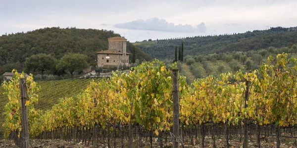 Vista Aérea Viñedos Valle Radda Chianti Toscana Italia —  Fotos de Stock