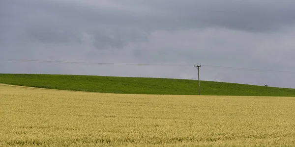 Blick Auf Landwirtschaftliche Landschaft Gegen Wolkenverhangenen Himmel Fünf Schottland — Stockfoto
