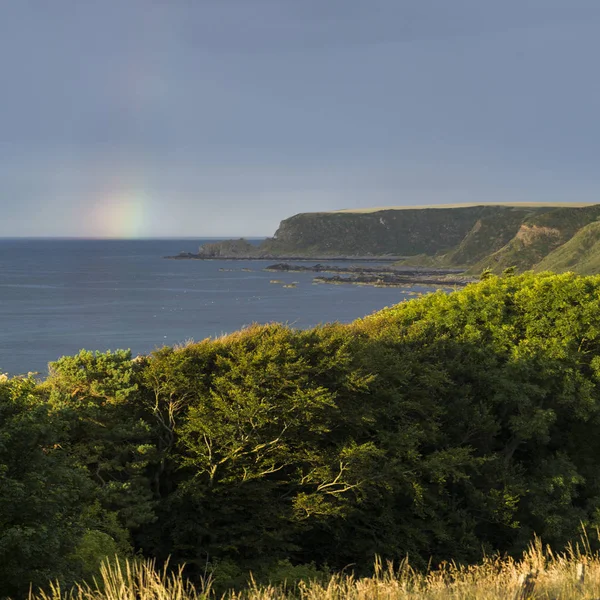 Vista Elevada Los Árboles Costa Del Mar Del Norte Cullen — Foto de Stock