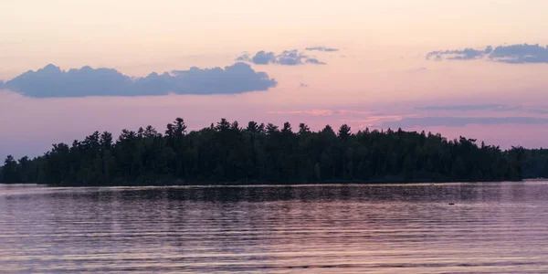 カナダ オンタリオ州の森の湖の湖畔での木のシルエット — ストック写真