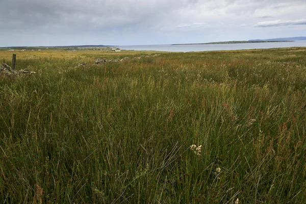 Scenic View Grassy Landscape Coast John Groats Caithness Scottish Highlands — стоковое фото