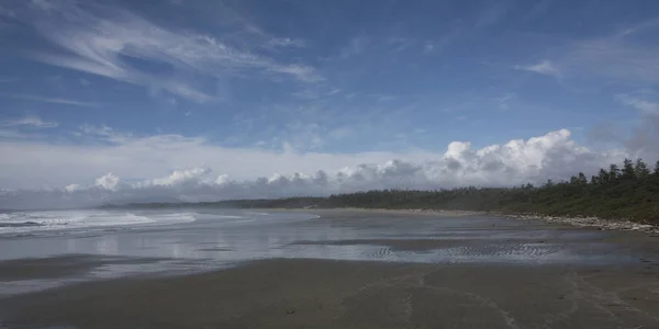 Blick Auf Strand Pazifischen Rand Nationalpark Reservat Tofino Vancouver Insel — Stockfoto