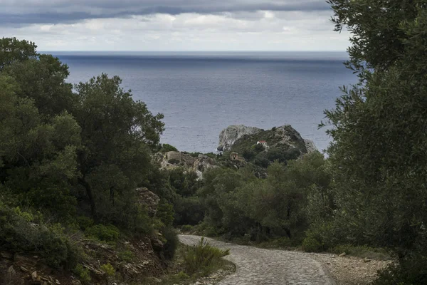 Vista Alto Ângulo Árvores Longo Estrada Costa Skiathos Kastro Grécia — Fotografia de Stock