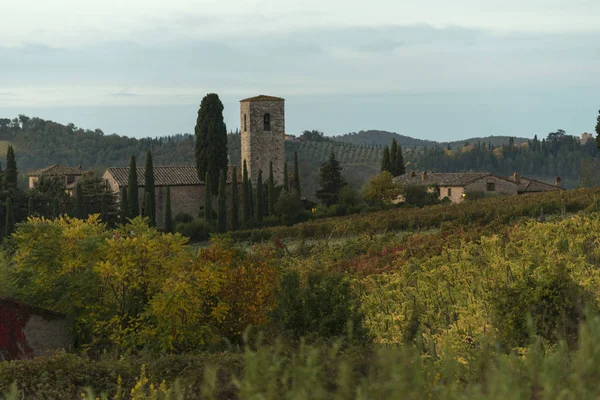 Veduta Panoramica Delle Case Borgo Con Vigneti Toscana Italia — Foto Stock