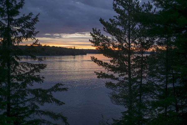 Silhueta Árvores Beira Lago Lago Dos Bosques Ontário Canadá — Fotografia de Stock