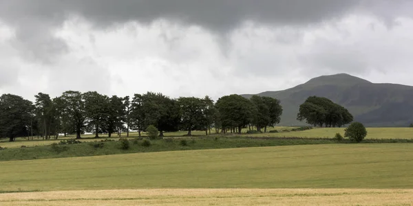 Scenic View Agricultural Fields Cloudy Sky Milnathort Perth Kinross Scotland — Stock Photo, Image