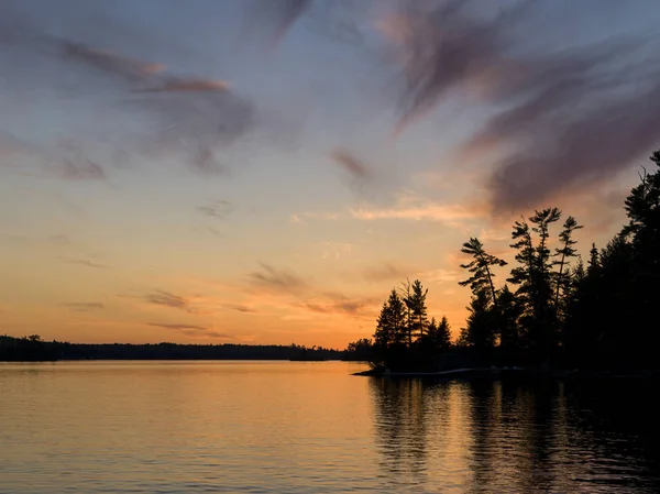 Silhouette Trees Lakeside Lake Woods Ontario Canada — Stock Photo, Image