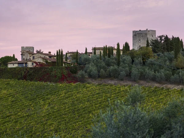 ブドウ畑 トスカーナ イタリアの風光明媚なビュー — ストック写真