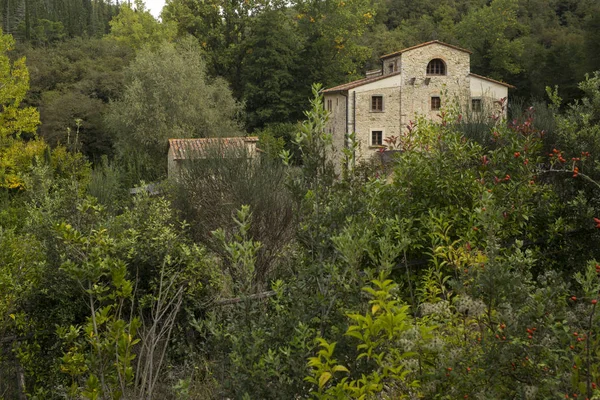 キアンティ トスカーナ イタリアの村の木に囲まれた家 — ストック写真
