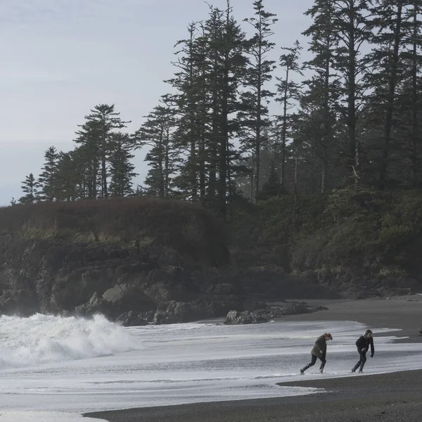 Touristen Laufen Strand Pazifik Rand Nationalpark Reserve Tofino Vancouver Insel — Stockfoto