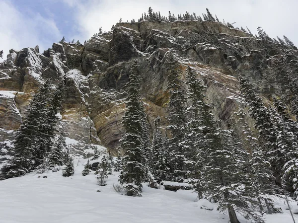 レイク ルイーズ バンフ国立公園 アルバータ カナダの山と木が雪に覆われています — ストック写真
