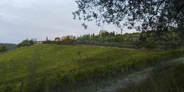 ᐈ Matorrales imágenes de stock, dibujos matorrales para colorear