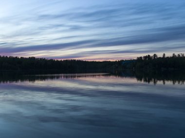 Göl günbatımı, Lake of The Woods, Ontario, Kanada sırasında ağaç görünümü