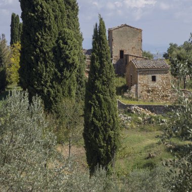 Evin ortasında ağaçlar Köyü, Chianti, Toskana, İtalya