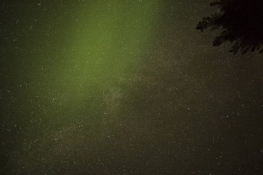 Lake of Woods, Ontario, Kanada içinde gökyüzünde yıldız düşük açılı görünüş