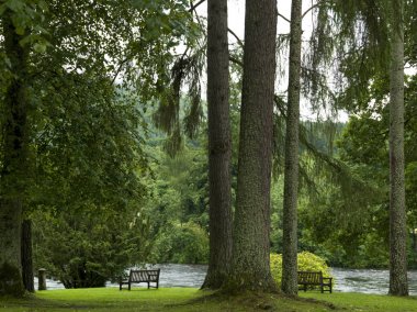 Ağaçlar ve tezgah nehir Tay, Dunkeld Katedrali, Dunkeld, Perth ve Kinross, İskoçya