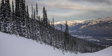 Snow covered trees with mountains in winter,  Kicking Horse Mountain Resort, Golden, British Columbia, Canada clipart