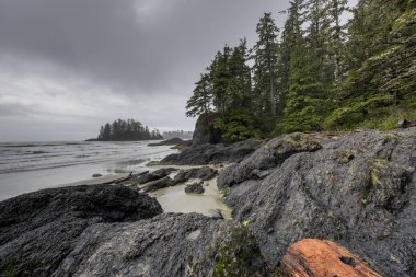 Kaya oluşumu, kıyı şeridi, Pasifik Kıyısı Milli Parkı rezerv, British Columbia, Kanada